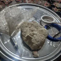 لوازم آکواریوم|لوازم جانبی حیوانات|نسیم‌شهر, |دیوار