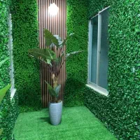 چمن مصنوعی|مصالح و تجهیزات ساختمان|تربت جام, جامی|دیوار