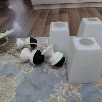 لوسترسه شاخه