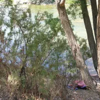 باغ 300متری لب آب|فروش زمین و ملک کلنگی|زاینده رود, |دیوار