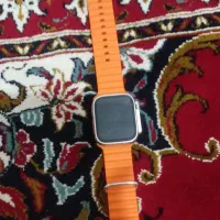 ساعت|ساعت|دوگنبدان, |دیوار