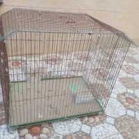 قفس شیروانی دودرب|لوازم جانبی حیوانات|زهان, |دیوار