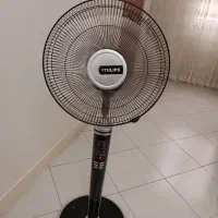 پنکه