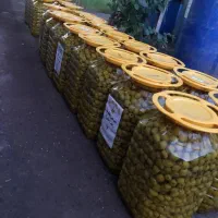 زیتون شکسته و بی هسته،زیتون پرورده اصیل و تازه