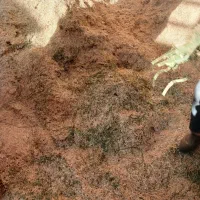 خرید وفروش کاه