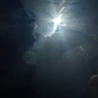 لوستر کوییک اس خشک ۱۴۰۲