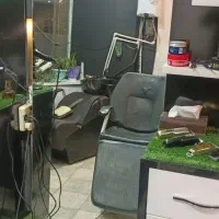 اینه قدی|آینه|بجنورد, |دیوار