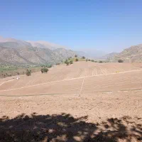 استخدام نیروی ماهر کشاورز