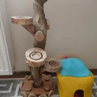 مخفیگاه و تنه چوبی