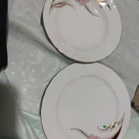 ظرف چینی|ظروف سرو و پذیرایی|تهران, هاشم‌آباد|دیوار