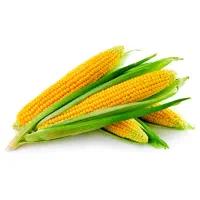 به یک کارگر ساده نیازمندیم