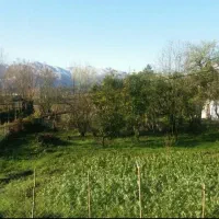 معاوضه منزل شهری با خانه ییلاقی توضیحات بخوانید