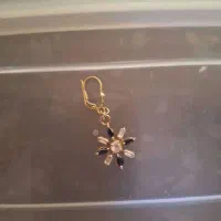 گوشواره گمشده