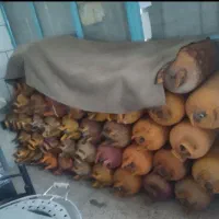 کپسول گاز عمده جزئی|اجاق گاز و لوازم برقی پخت‌وپز|لاران, |دیوار