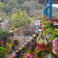 سوییت کلبه جنگلی سنتی|اجارهٔ کوتاه‌مدت ویلا و باغ|علی‌آباد کتول, |دیوار