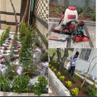 خدمات‌ باغبانی تندیس