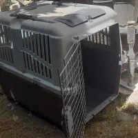 بکس سگ وگربه