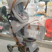 سرویس کالسکه و کریر وروروئک