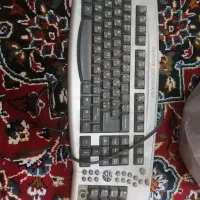 کامپیوتر|رایانه رومیزی|رشت, یخسازی|دیوار