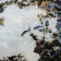 ماهی قرمز|ماهی|مبارکه, |دیوار