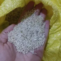 برنج درجه یک چغلوندی