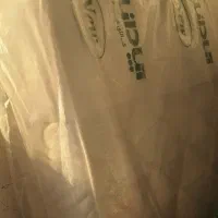 تشک نوجوان آپادانا