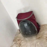 کوله حمل پت
