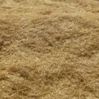 کاه جو تمیز و سفید شبانکاره کیلویی ۴۰۰۰تومان