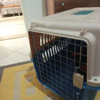 باکس