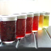 شربت طبیعی مربا ، رب میوه طبیعی و ارگانیک