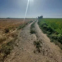 زمین باغچه ۳۰۰ متری ایجدانکی با موقعیت عالی|فروش زمین و ملک کلنگی|جوادآباد, |دیوار
