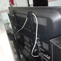 تلویزیون در حد|تلویزیون و پروژکتور|بهارستان, |دیوار