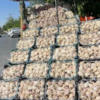 سیر همدان|خوردنی و آشامیدنی|شیراز, دباغ خانه|دیوار