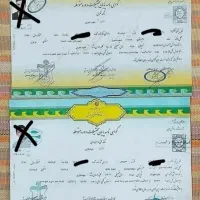 اخذ مدارک تحصیلی دیپلم تا دکتری