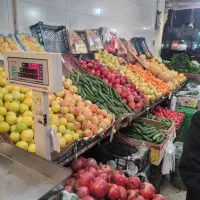 استخدام نیرو برای کار در میوه فروشی