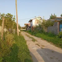 زمین ساحلی ۲۶۵ متری دور دیوار  ۱ کیلومتری دریا|فروش زمین و ملک کلنگی|بندر انزلی, جفرود پایین|دیوار