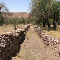 ۶هکتار باغ. سند تک برگ. اکوسیستم بکر و منحصر بفرد.|فروش زمین و ملک کلنگی|نائین, |دیوار