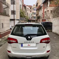 کولیوس وارداتی بدون رنگ استثنایی