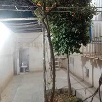 فروش منزل مسکونی جنوبی در سرچشمه زارچ|فروش خانه و ویلا|زارچ, |دیوار