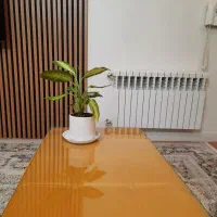 میر جلو مبلی /پاف