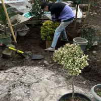 فضای سبز محوطه سازی