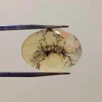 عقیق شجر یمنی اصل