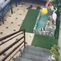 واگذاری کلیدی چایخانه در حال کار با دخل خوب