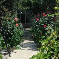 اجاره روزانه و هفتگی 170متر