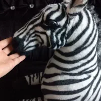 دکوری یاعروسک گورخر بزرگ و زیبا