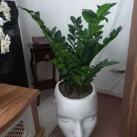 گل و گلدان