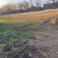 زمین-برای-باغ-وویلا