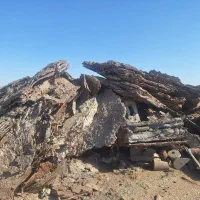 تامین  کننده خرسک . ته تاندیش. شلاکه