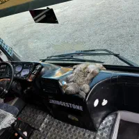 میدل باس ۸۸|خودرو سنگین|تهران, فلاح|دیوار