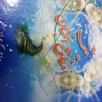 قلم قرآنی در حد نو|لوازم التحریر|شیراز, دانشگاه شیراز|دیوار